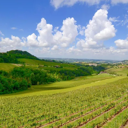 Pet Friendly In With Wifi Holiday home San Cristoforo